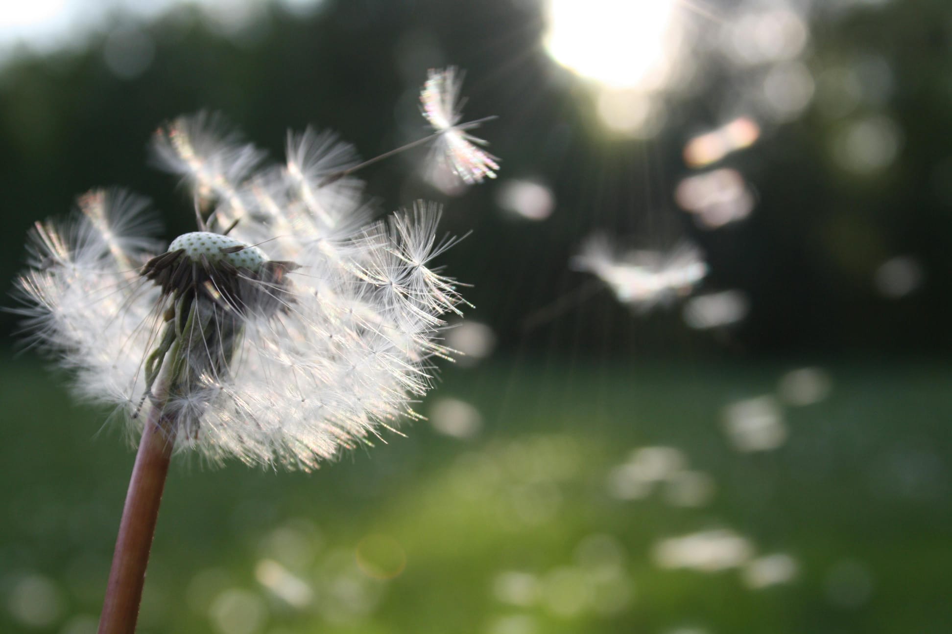 services-yoga-meditation-reiki-retraites spirituelles